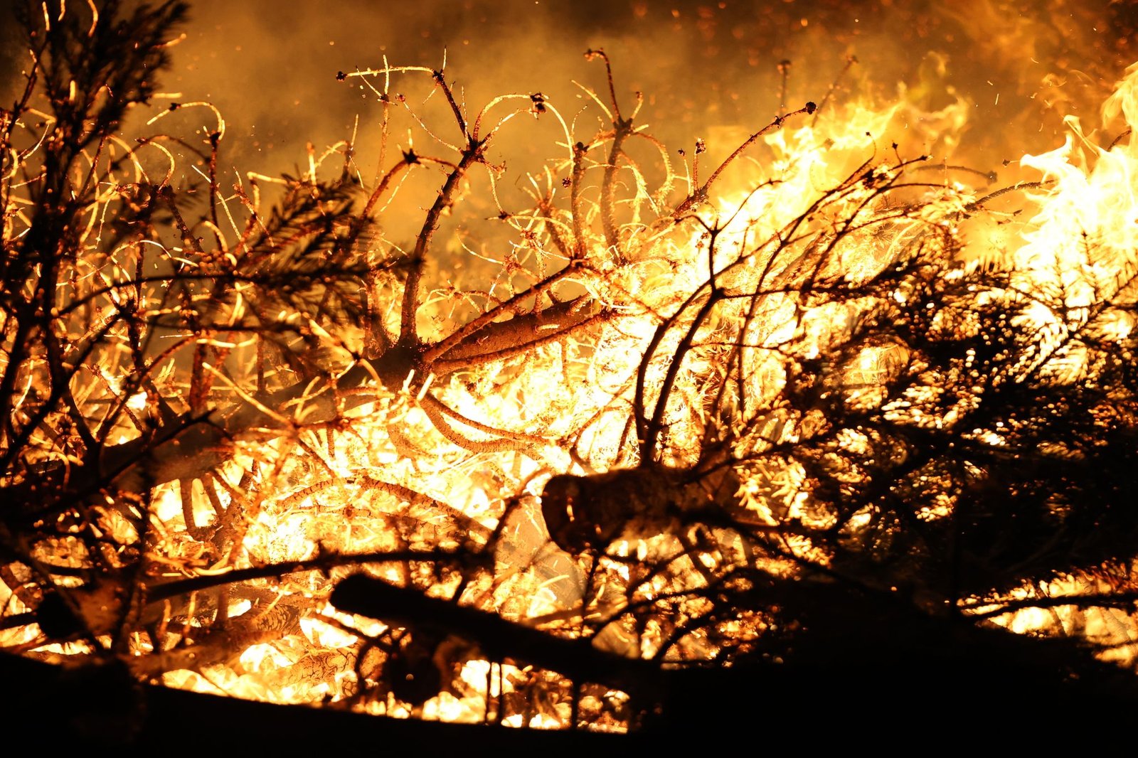 Catastrophes naturelles : l’Afrique perd trois milliards $ en 2025